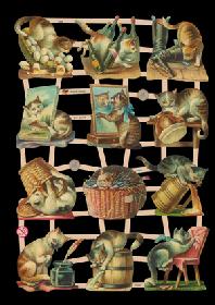 Glanzbilder - Katzen