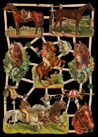 Glanzbilder - Pferde