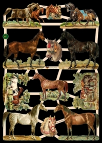 Glanzbilder - Pferde Glanzbilder - Pferde