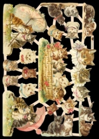 Glanzbilder - Katzen Glanzbilder - Katzen