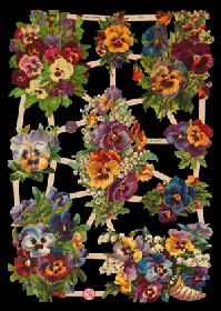 Glanzbilder - Stiefmütterchen