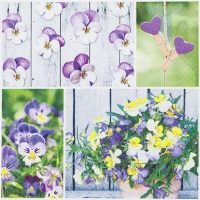 Servietten 33x33 cm - Pansy Mix