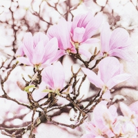 Servietten 33x33 cm - Pink Magnolia