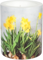 Dekorkerze - Meadow in Bloom