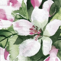 Servietten 24x24 cm - Omenankukka