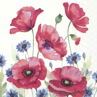 Servietten 25x25 cm - MODERN POPPY white