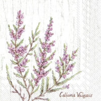 Servietten 25x25 cm - CALLUNA VULGARIS grey