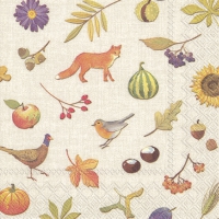 Servietten 25x25 cm - LITTLE PUMPKIN linen