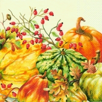 Servietten 33x33 cm - CALABAZA cream