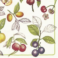 Servietten 33x33 cm - V&B Cascara Servietten 33x33 cm - V&B Cascara