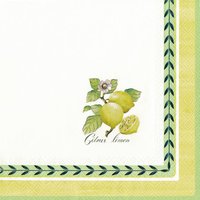 Servietten 33x33 cm - French Garden Servietten 33x33 cm - French Garden