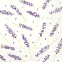 Servietten 33x33 cm - DELILAH white