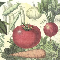 Servietten 33x33 cm - CULINARIX