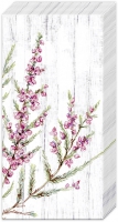 Taschentücher - CALLUNA VULGARIS grey