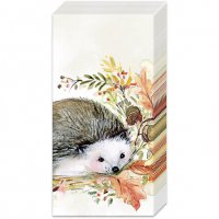 Taschentücher - SWEET HEDGEHOG