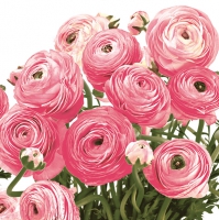 Servietten 33x33 cm - Persian Buttercups