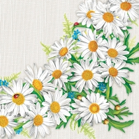 Servietten 33x33 cm - Daisy Frame