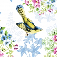 Linclass Servietten 40x40 cm - Lenz Linclass Servietten 40x40 cm - Lenz