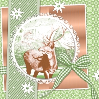 Linclass Servietten 40x40 cm - Finn  (grün)