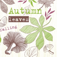 Linclass Servietten 40x40 cm - Adam  (kiwi/beere)