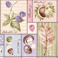 Linclass Servietten 40x40 cm - Jerry