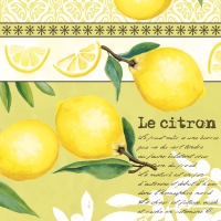 Linclass Servietten 40x40 cm - Jona