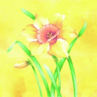 Linclass Servietten 40x40 cm - Elvira