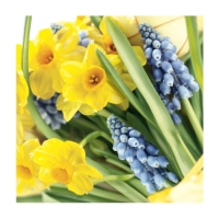 Servietten 25x25 cm - Spring Time Servietten 25x25 cm - Spring Time