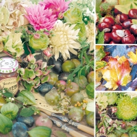 Servietten 33x33 cm - Ambika Servietten 33x33 cm - Ambika