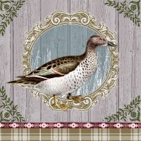 Servietten 33x33 cm - Duck Portrait Servietten 33x33 cm - Duck Portrait