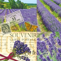 Servietten 33x33 cm - Lavender Scent Servietten 33x33 cm - Lavender Scent