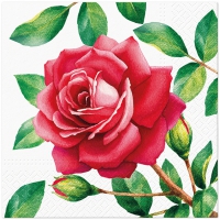 Servietten 33x33 cm - Special Rose Servietten 33x33 cm - Special Rose