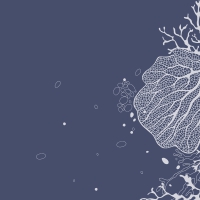 Servietten 33x33 cm - Coral