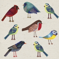 Servietten 33x33 cm - Birds
