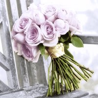 Servietten 33x33 cm - Pink romance