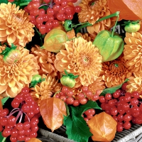 Servietten 33x33 cm - Flowers & fruits