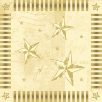 100 Servietten 33x33 cm - Star Shine