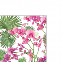 Servietten 25x25 cm - Orchids & Palms