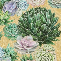 Servietten 25x25 cm - Succulents 