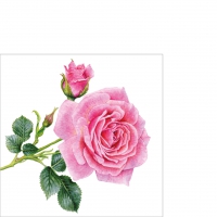 Servietten 25x25 cm - Rosedal