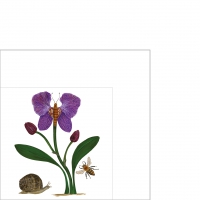 Servietten 25x25 cm - Adana