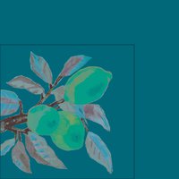 Servietten 25x25 cm - Lemon Musée white  25x25 cm