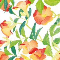 Servietten 25x25 cm - Bégonia 