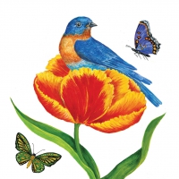 Servietten 25x25 cm - Tulip Nest 