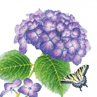 Servietten 33x33 cm - Hydrangea & Butterfly