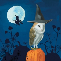 Servietten 25x25 cm - Wizard´s Halloween