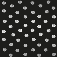 30 Servietten 33x33 cm - Rosebud schwarz