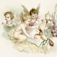 Servietten 33x33 cm - Love Letter Fairies