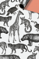 Geschenkpapier beschichtet - Zimo Geschenkpapier beschichtet - Zimo