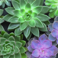 Servietten 33x33 cm - Sinikka